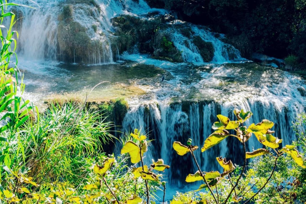 Buqez Resort Drage, Villa Vita 50 باكوشتاني المظهر الخارجي الصورة